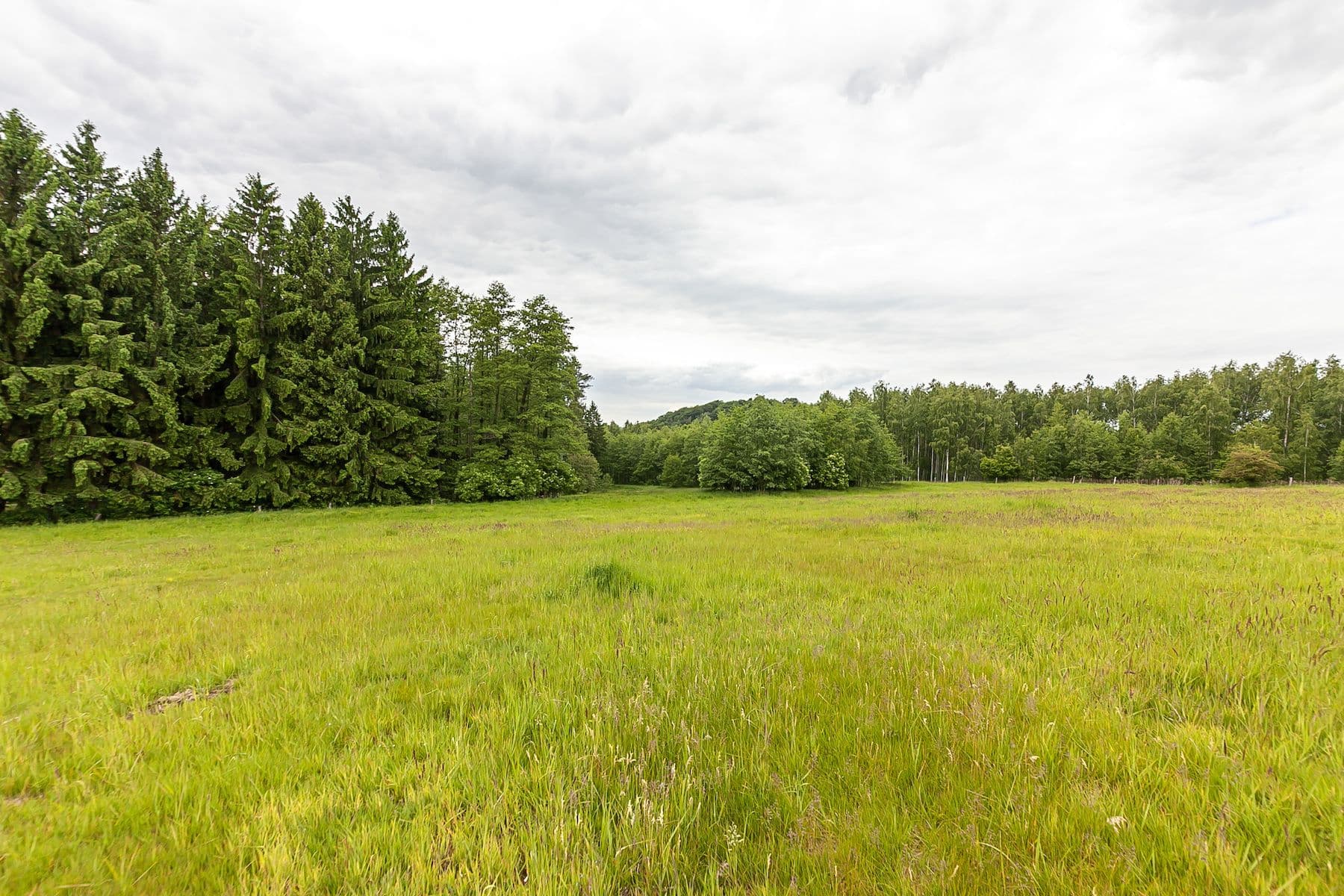 Predaj pozemku 14.573 m², Předlánce, Višňová, Liberecký kraj Predaj pozemku 14.573 m², Předlánce, Višňová, Liberecký kraj
