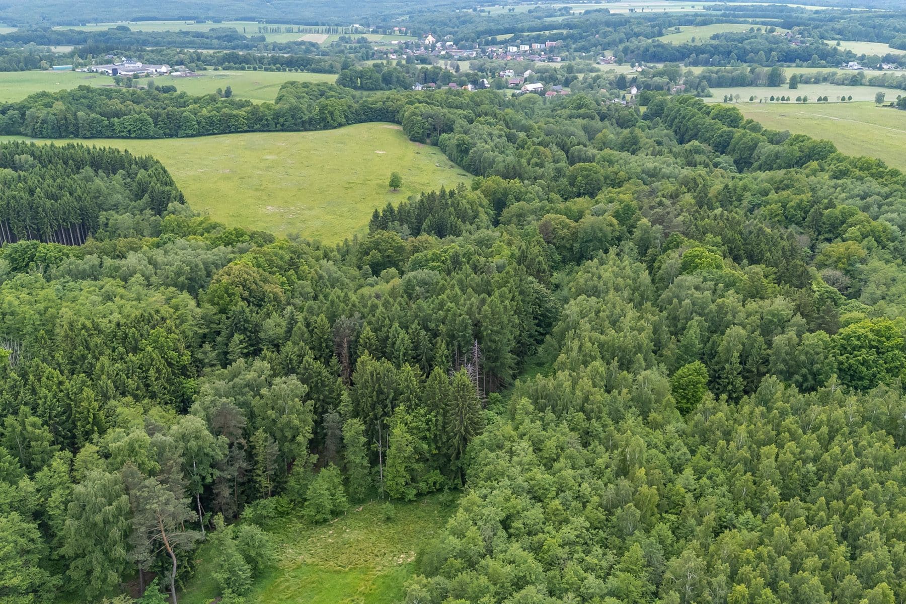Predaj pozemku 14.573 m², Předlánce, Višňová, Liberecký kraj Predaj pozemku 14.573 m², Předlánce, Višňová, Liberecký kraj