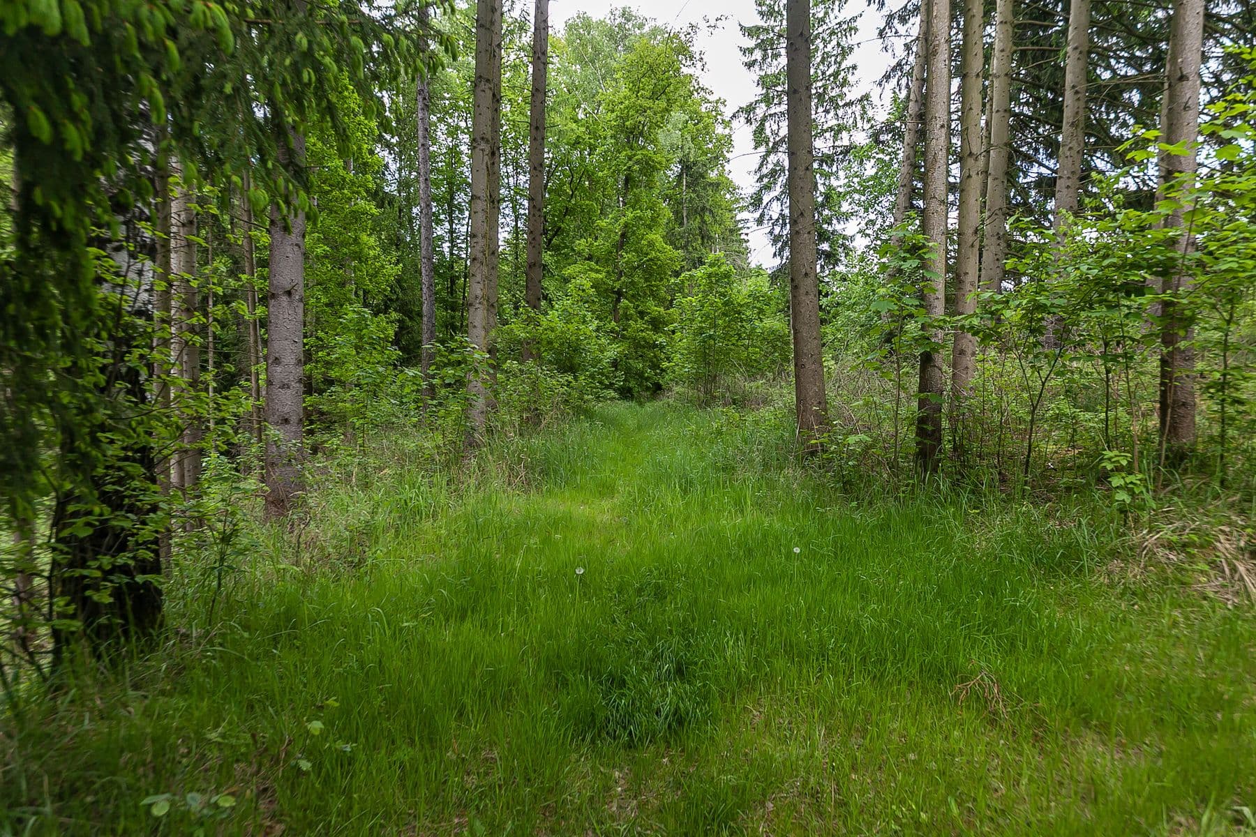 Predaj pozemku 33.624 m², Předlánce, Višňová, Liberecký kraj Predaj pozemku 33.624 m², Předlánce, Višňová, Liberecký kraj