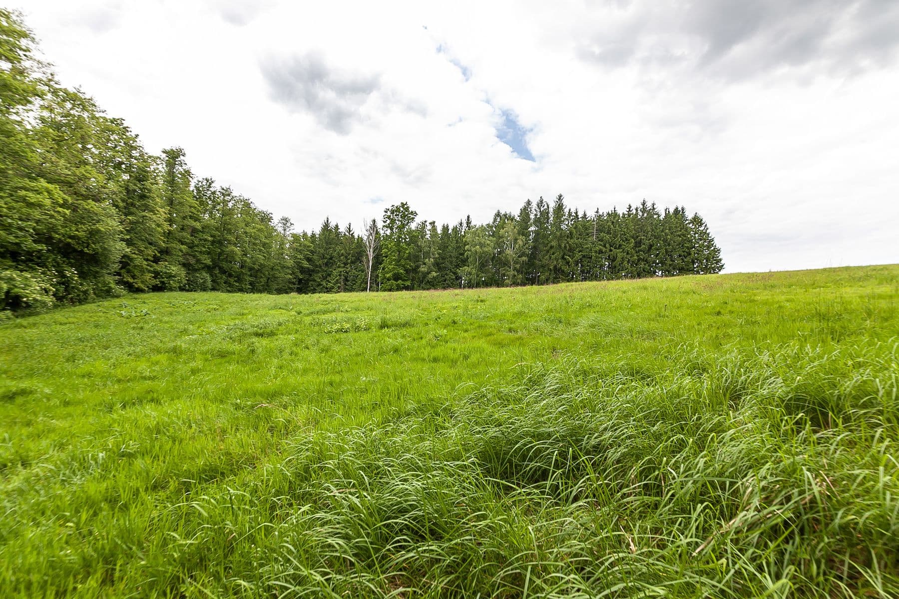 Predaj pozemku 33.624 m², Předlánce, Višňová, Liberecký kraj Predaj pozemku 33.624 m², Předlánce, Višňová, Liberecký kraj