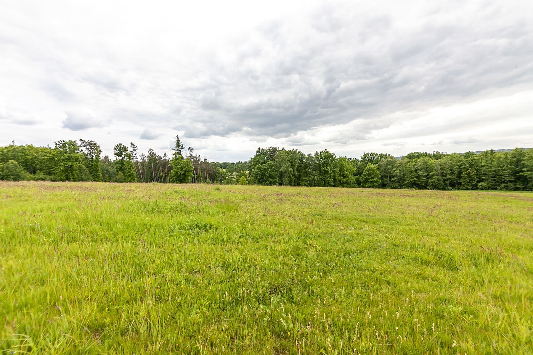Predaj pozemku 33.624 m², Předlánce, Višňová, Liberecký kraj Predaj pozemku 33.624 m², Předlánce, Višňová, Liberecký kraj