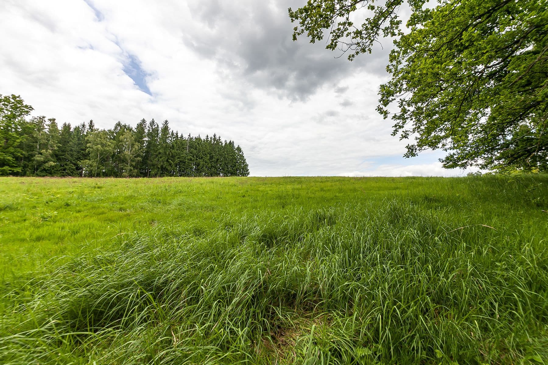 Predaj pozemku 53.442 m², Višňová, Liberecký kraj Predaj pozemku 53.442 m², Višňová, Liberecký kraj