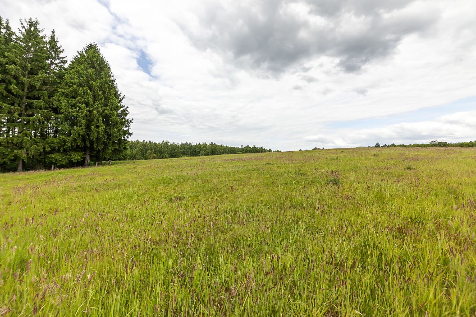 Predaj pozemku 53.442 m², Višňová, Liberecký kraj Predaj pozemku 53.442 m², Višňová, Liberecký kraj