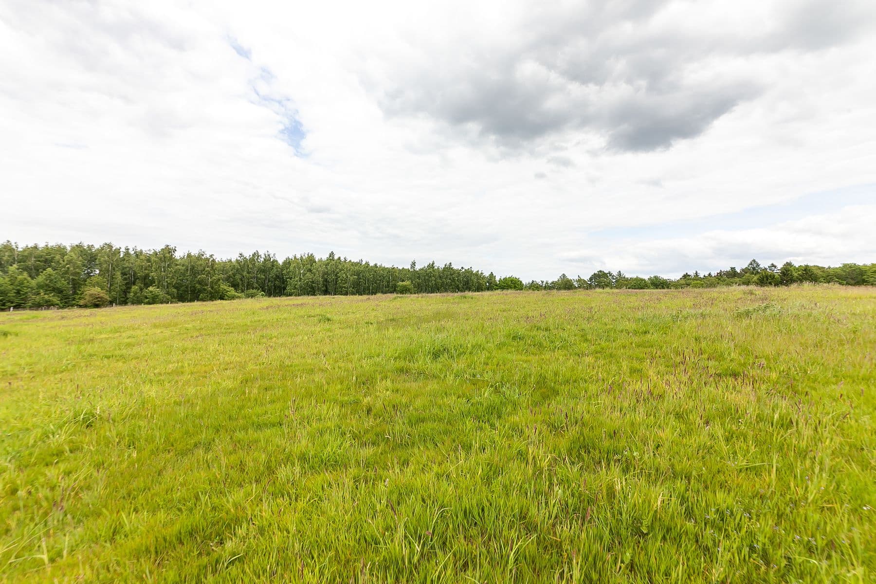 Predaj pozemku 53.442 m², Višňová, Liberecký kraj Predaj pozemku 53.442 m², Višňová, Liberecký kraj