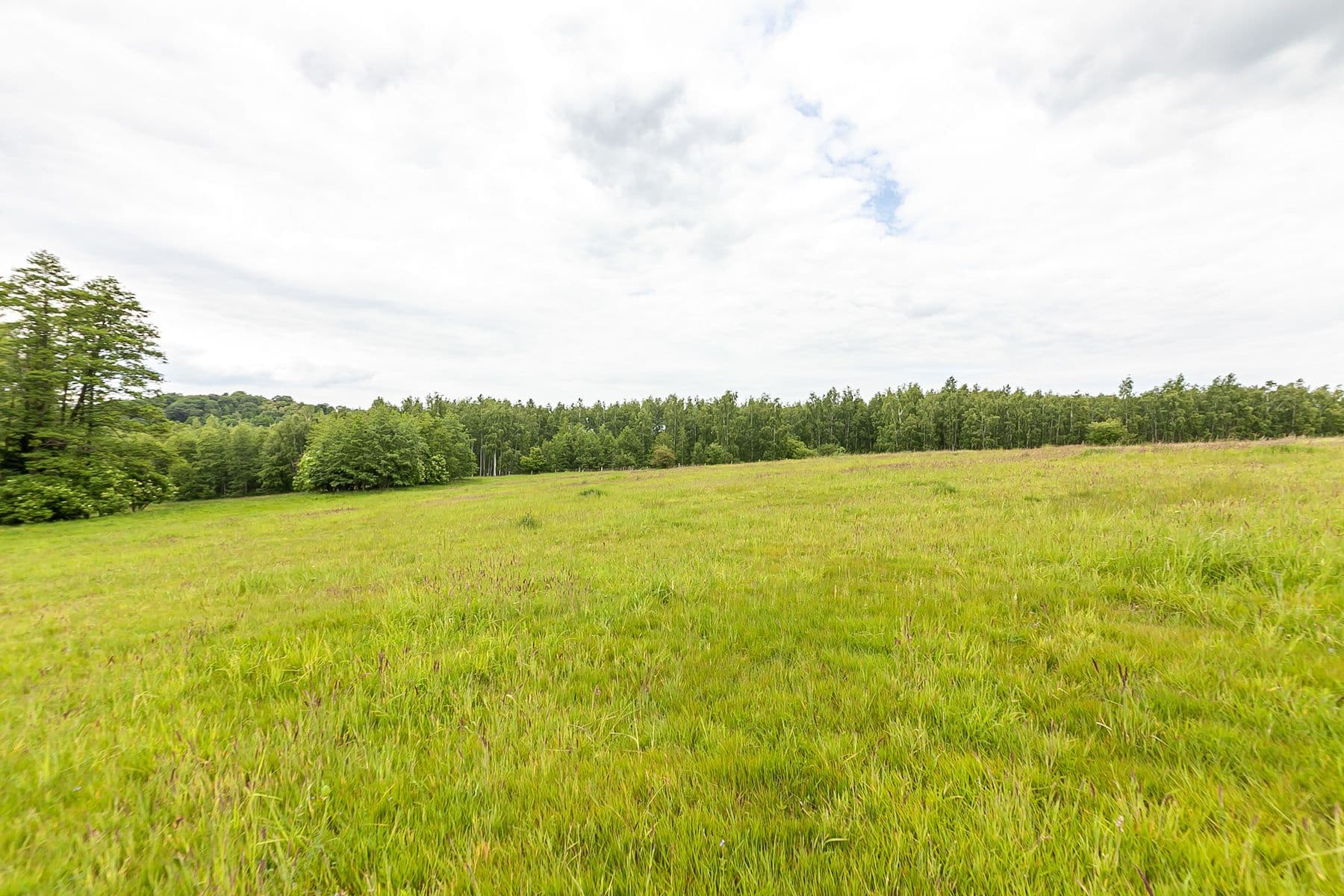 Predaj pozemku 53.442 m², Višňová, Liberecký kraj Predaj pozemku 53.442 m², Višňová, Liberecký kraj