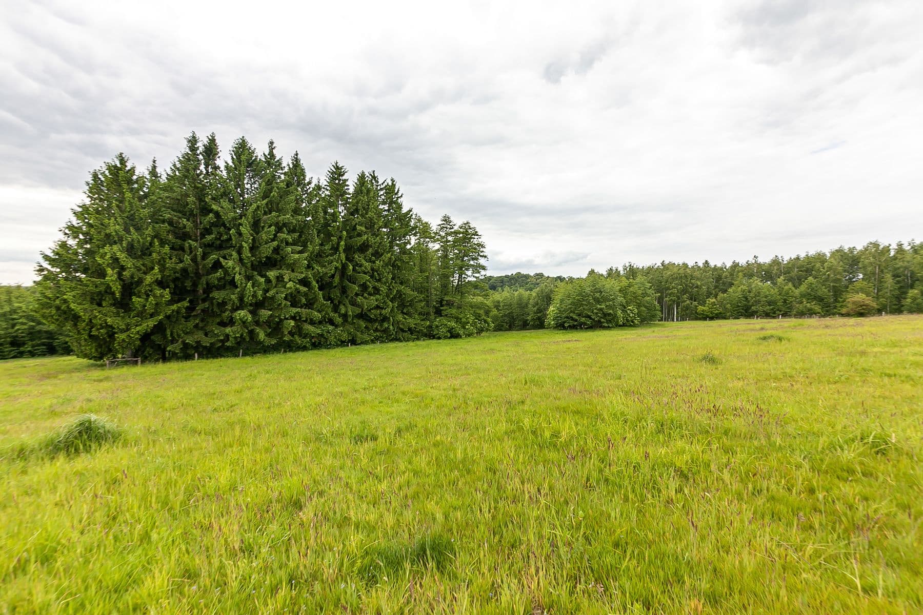 Predaj pozemku 53.442 m², Višňová, Liberecký kraj Predaj pozemku 53.442 m², Višňová, Liberecký kraj