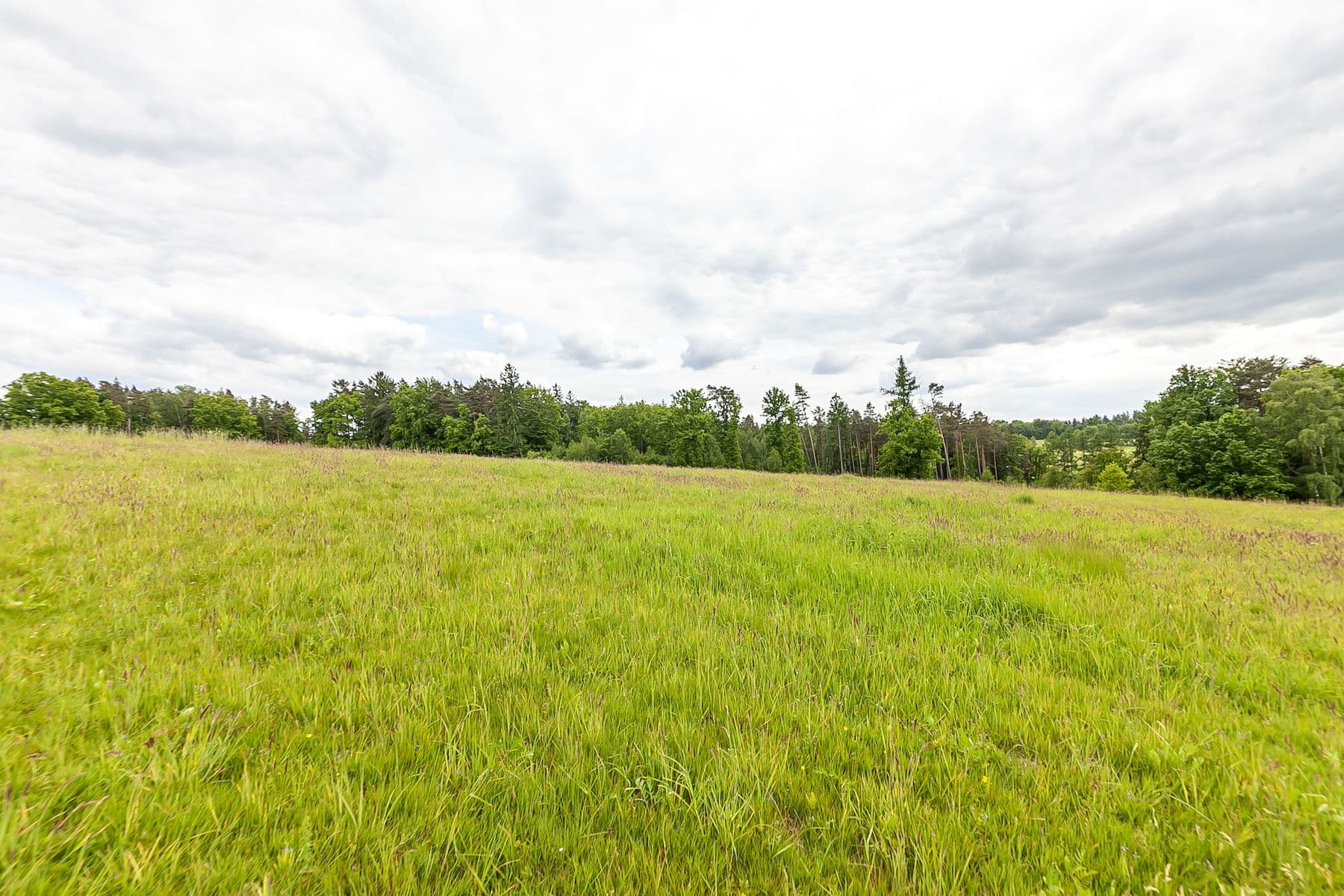 Predaj pozemku 53.442 m², Višňová, Liberecký kraj Predaj pozemku 53.442 m², Višňová, Liberecký kraj