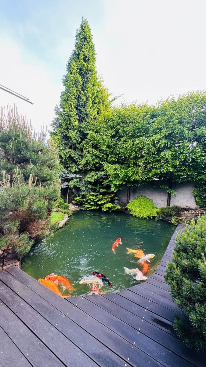 Predaj domu 220 m², pozemek 594 m², Křemenáčová, Praha, Praha Predaj domu 220 m², pozemek 594 m², Křemenáčová, Praha, Praha