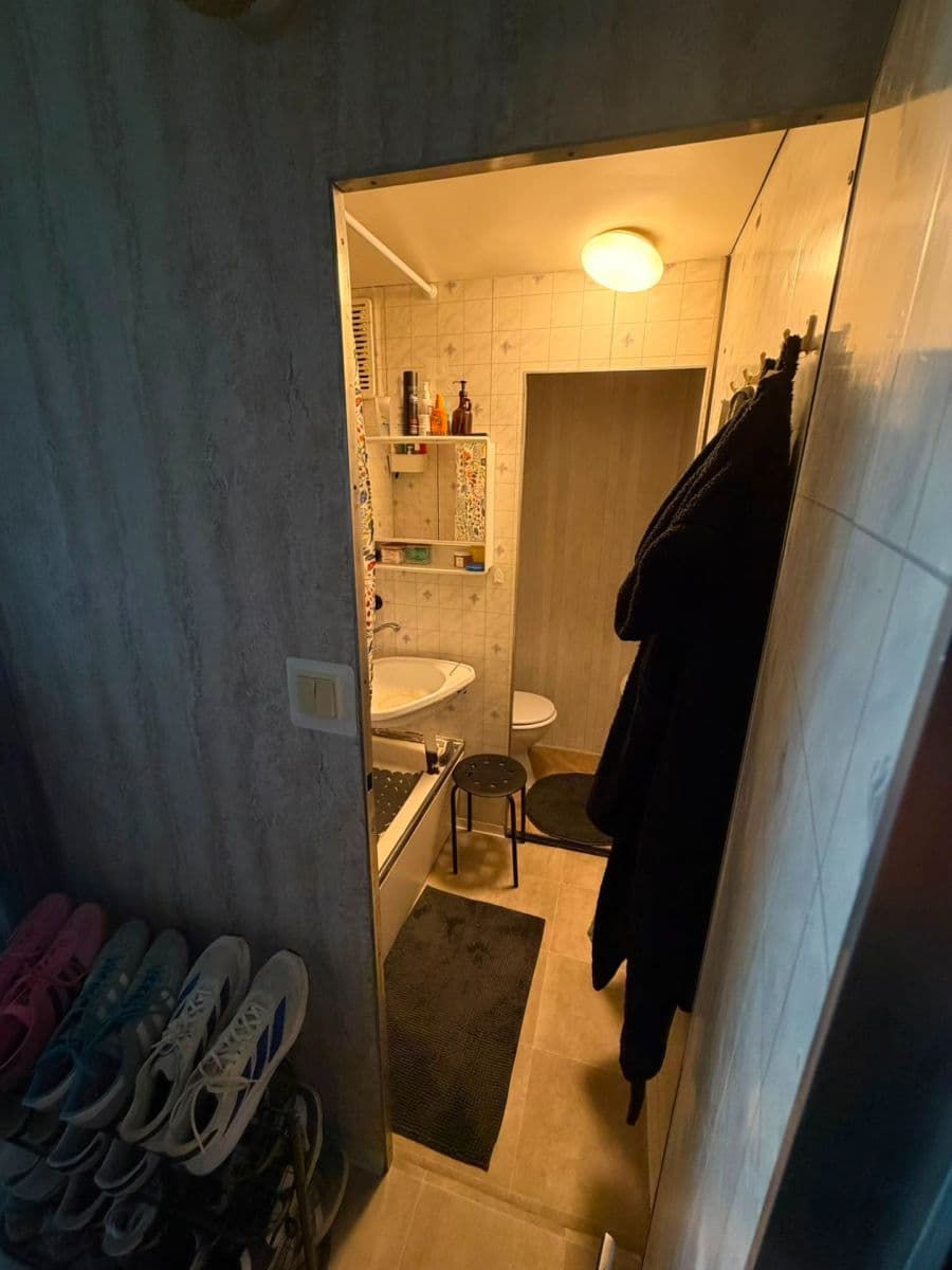 Prenájom bytu 1-izbový 26 m², Voroněžská, Brno, Jihomoravský kraj Prenájom bytu 1-izbový 26 m², Voroněžská, Brno, Jihomoravský kraj