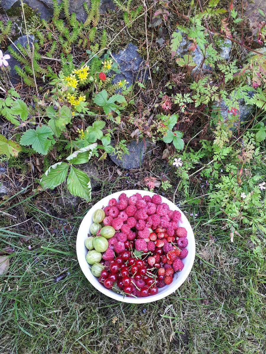Predaj rekreačného objektu 30 m², pozemek 648 m², Bratronice, Středočeský kraj Predaj rekreačného objektu 30 m², pozemek 648 m², Bratronice, Středočeský kraj
