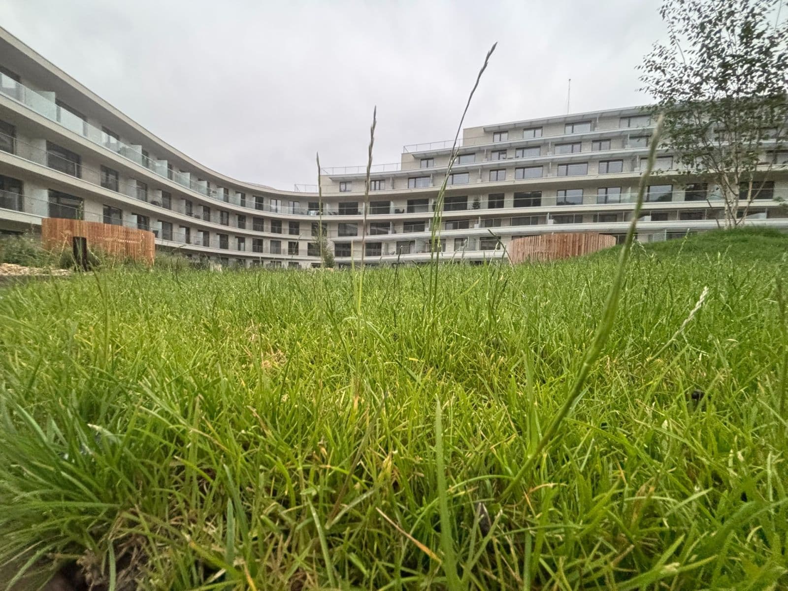 Prenájom bytu 1-izbový 28 m², Bystrcká, Brno, Jihomoravský kraj Prenájom bytu 1-izbový 28 m², Bystrcká, Brno, Jihomoravský kraj