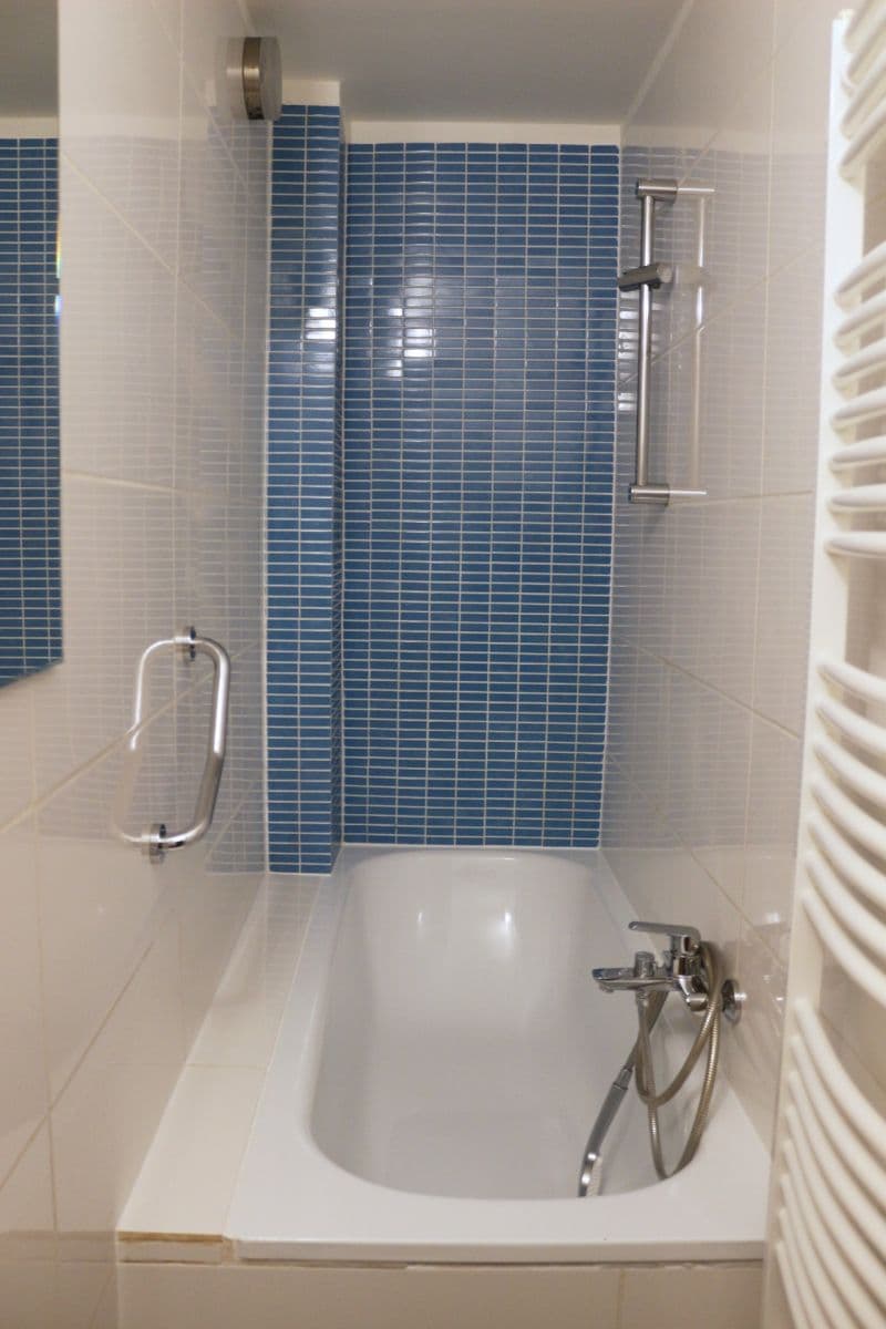 Prenájom bytu 2-izbový 41 m², Bořivojova, Praha, Praha Prenájom bytu 2-izbový 41 m², Bořivojova, Praha, Praha