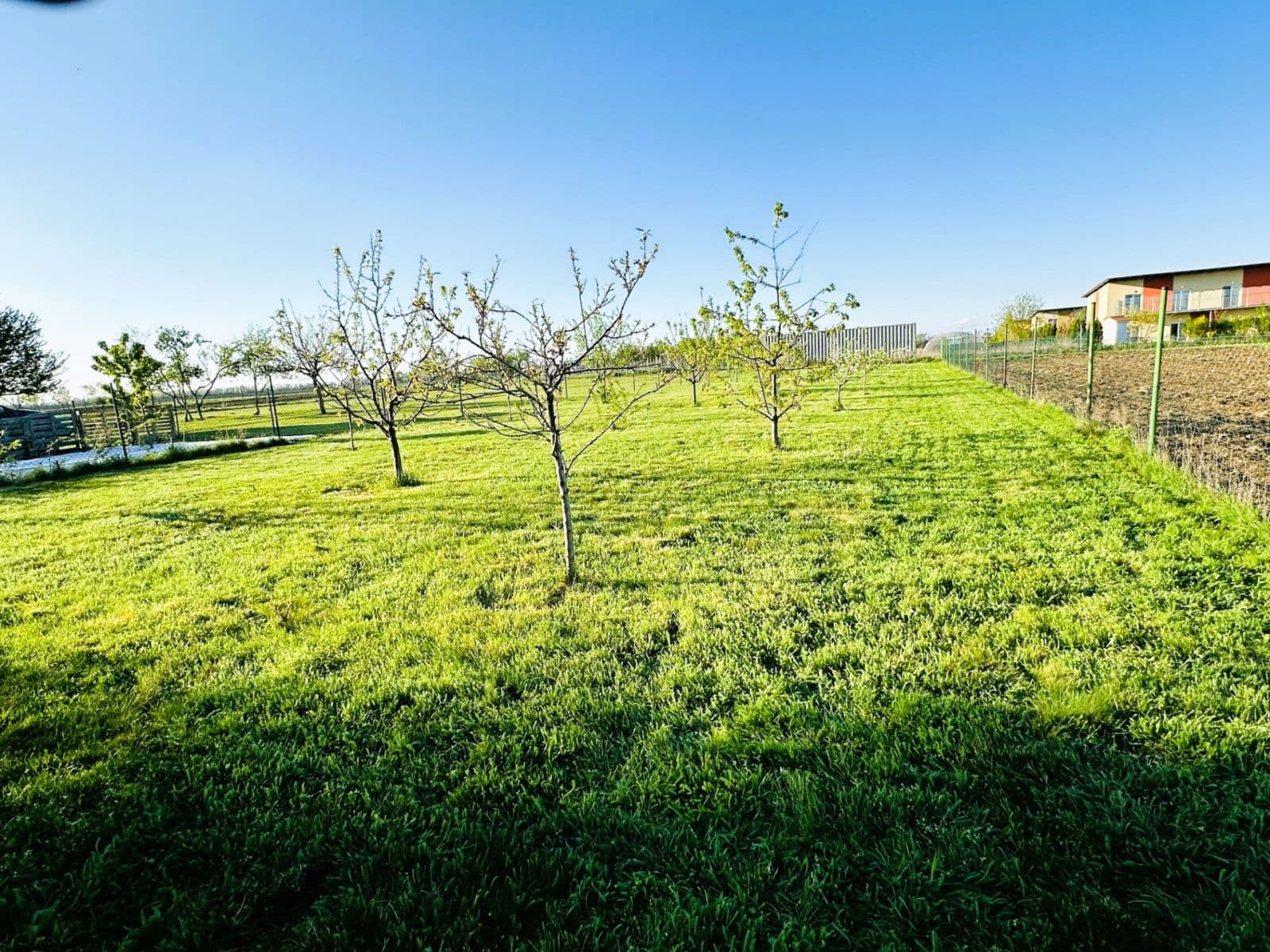 Predaj domu 234 m², pozemek 2.009 m², Božická, Šanov, Jihomoravský kraj Predaj domu 234 m², pozemek 2.009 m², Božická, Šanov, Jihomoravský kraj