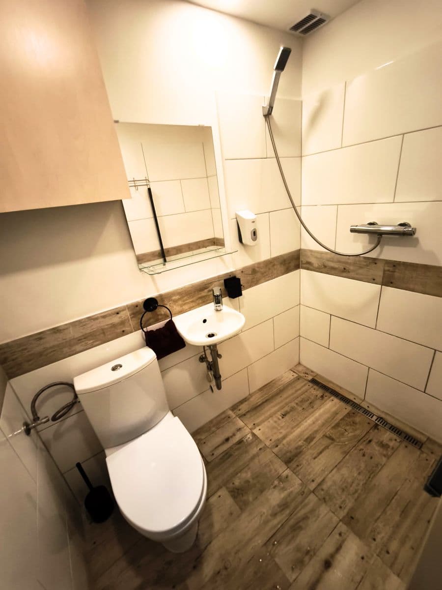 Prenájom bytu 19 m², Lucemburská, Praha, Praha Prenájom bytu 19 m², Lucemburská, Praha, Praha