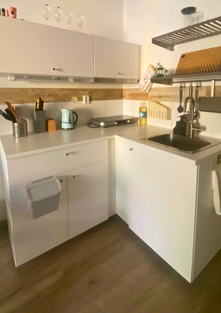 Prenájom bytu 19 m², Lucemburská, Praha, Praha Prenájom bytu 19 m², Lucemburská, Praha, Praha