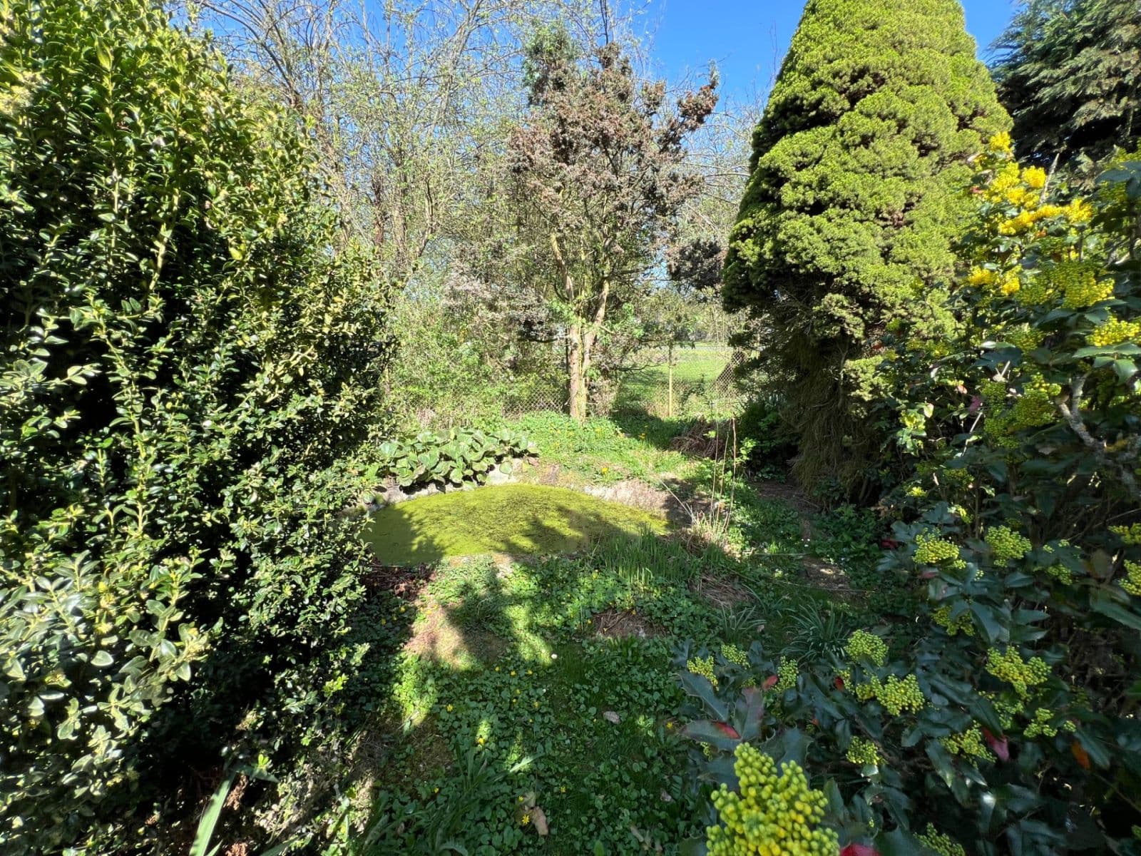 Predaj domu 140 m², pozemek 915 m², Katusice, Středočeský kraj Predaj domu 140 m², pozemek 915 m², Katusice, Středočeský kraj