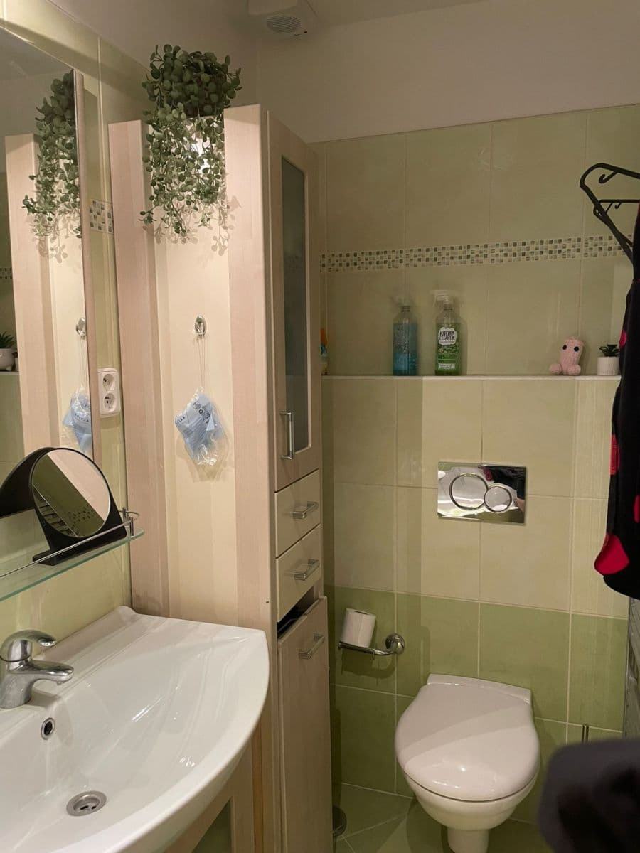 Prenájom bytu 1-izbový 30 m², Na Zlíchově, Praha, Praha Prenájom bytu 1-izbový 30 m², Na Zlíchově, Praha, Praha