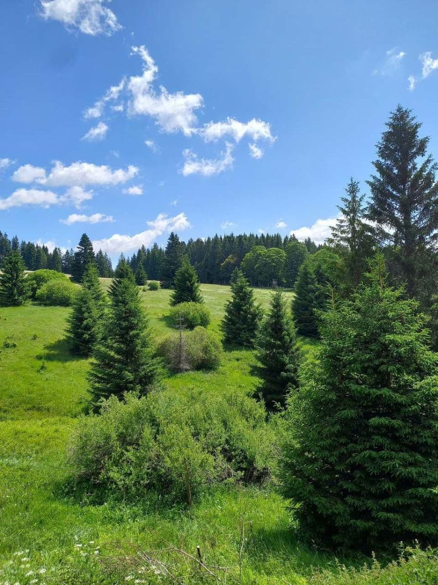 Prenájom rekreačného objektu, Železná Ruda, Plzeňský kraj Prenájom rekreačného objektu, Železná Ruda, Plzeňský kraj