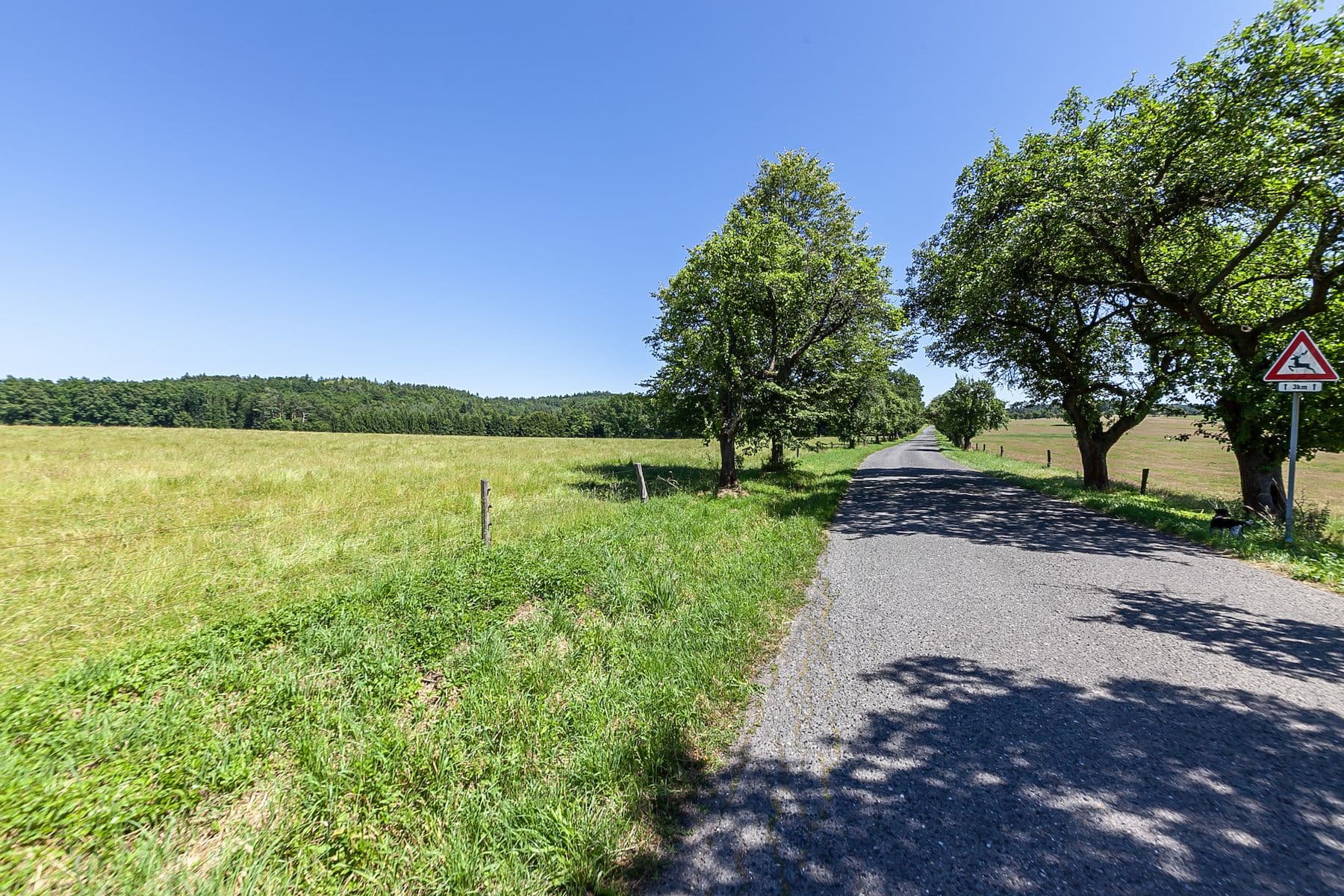 Predaj pozemku 10.156 m², Višňová, Liberecký kraj Predaj pozemku 10.156 m², Višňová, Liberecký kraj