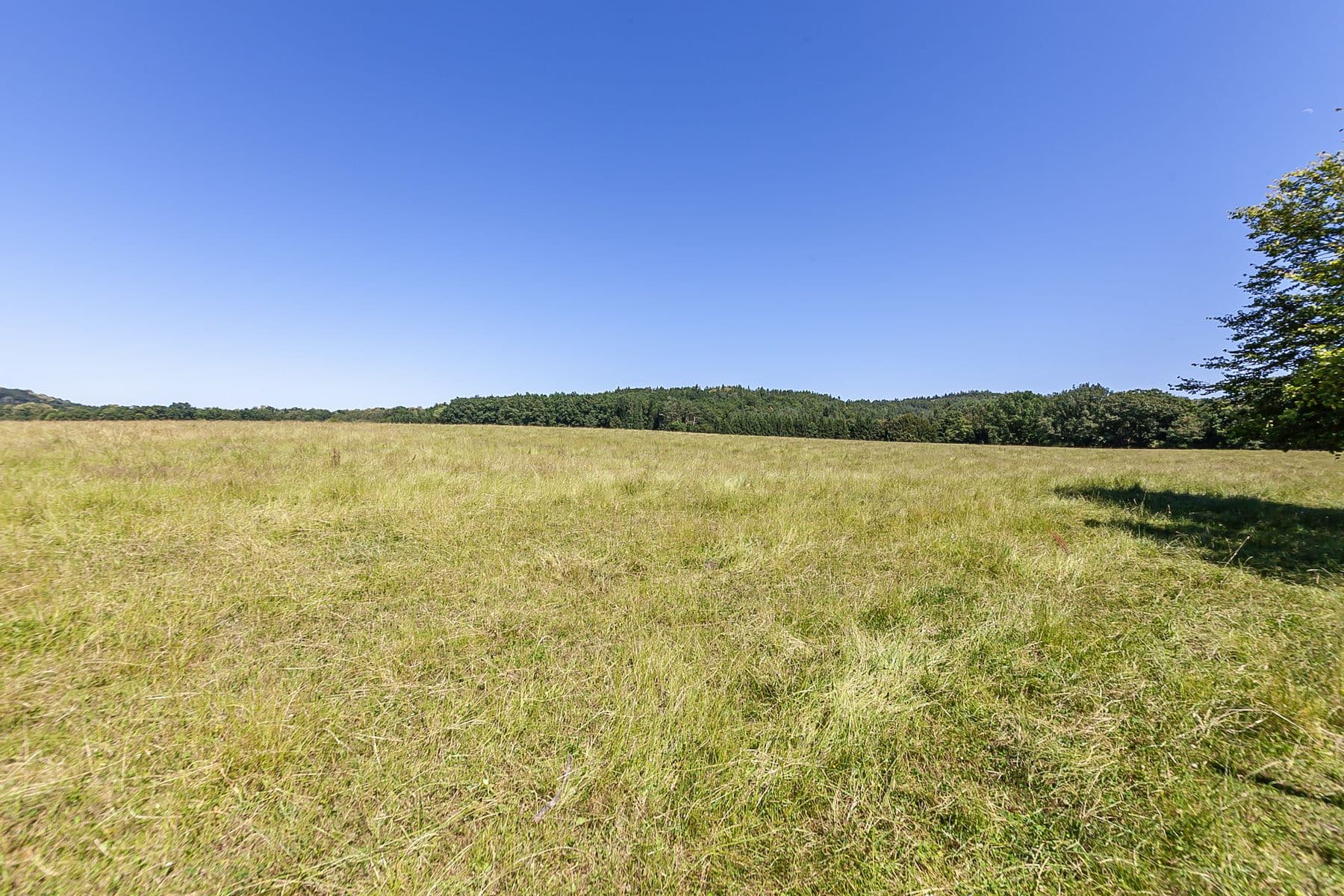 Predaj pozemku 10.156 m², Višňová, Liberecký kraj Predaj pozemku 10.156 m², Višňová, Liberecký kraj