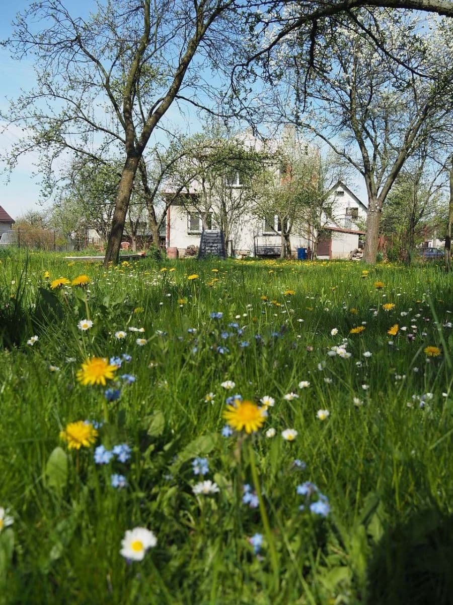Prenájom domu 232 m², pozemek 1.471 m², Veřovice, Moravskoslezský kraj Prenájom domu 232 m², pozemek 1.471 m², Veřovice, Moravskoslezský kraj