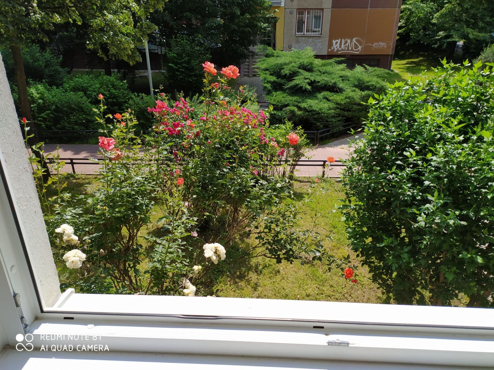 Prenájom bytu 19 m², Krškova, Praha, Praha Prenájom bytu 19 m², Krškova, Praha, Praha