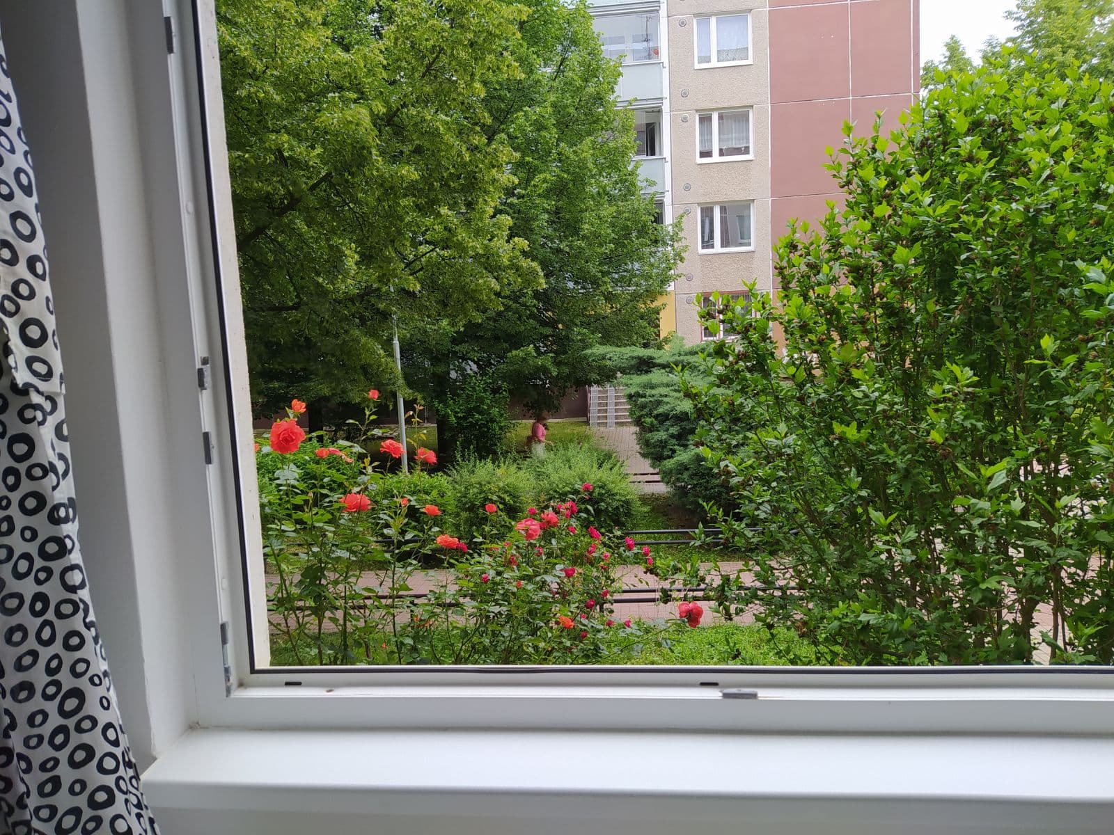 Prenájom bytu 19 m², Krškova, Praha, Praha Prenájom bytu 19 m², Krškova, Praha, Praha