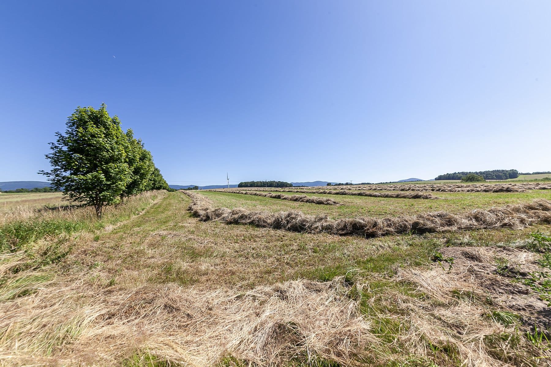 Predaj pozemku 54.591 m², Krásný Les, Liberecký kraj Predaj pozemku 54.591 m², Krásný Les, Liberecký kraj