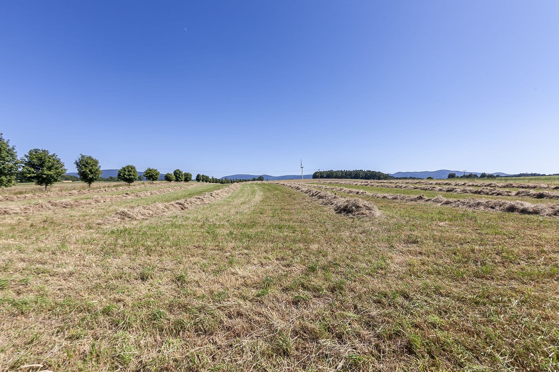 Predaj pozemku 54.591 m², Krásný Les, Liberecký kraj Predaj pozemku 54.591 m², Krásný Les, Liberecký kraj