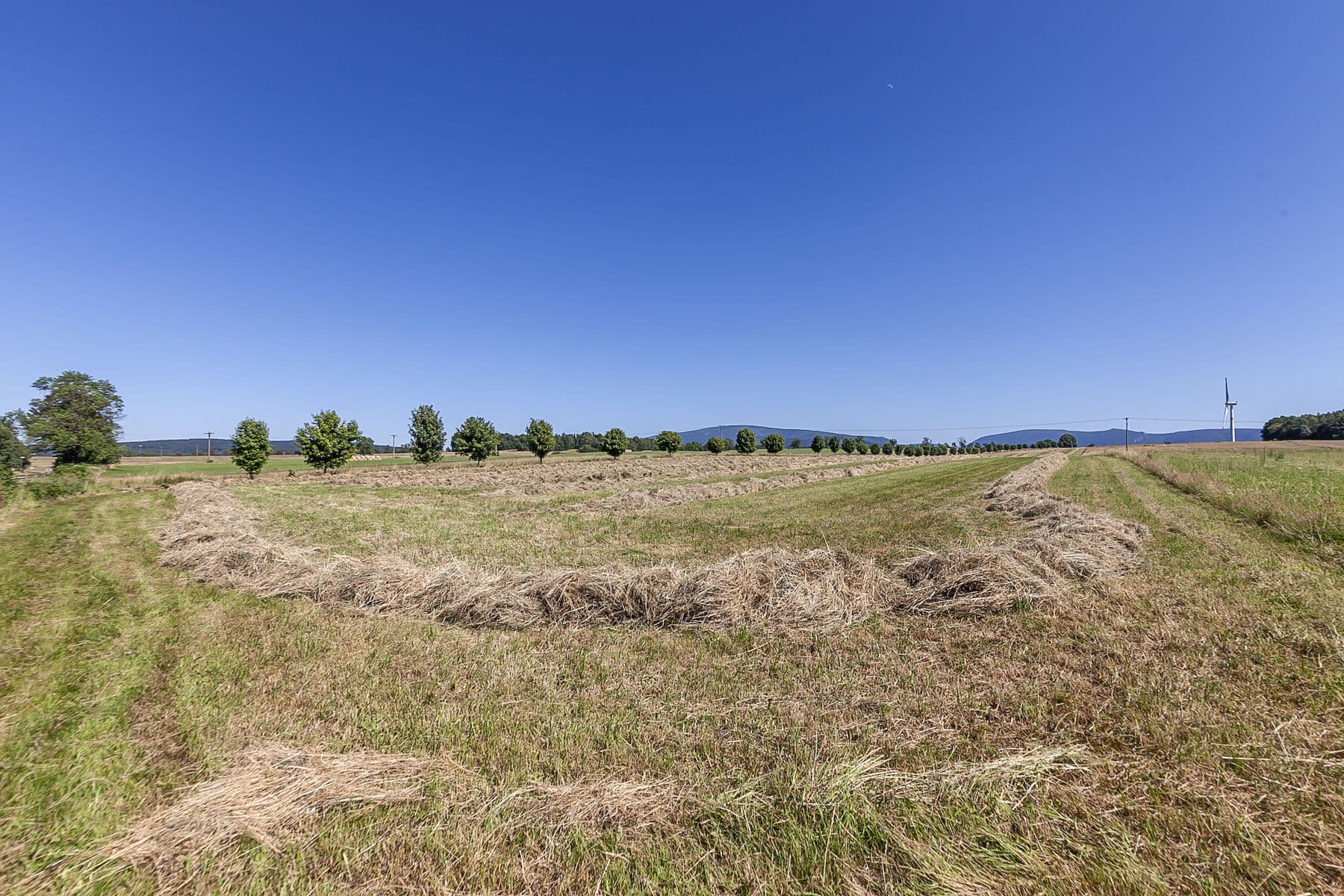 Predaj pozemku 54.591 m², Krásný Les, Liberecký kraj Predaj pozemku 54.591 m², Krásný Les, Liberecký kraj