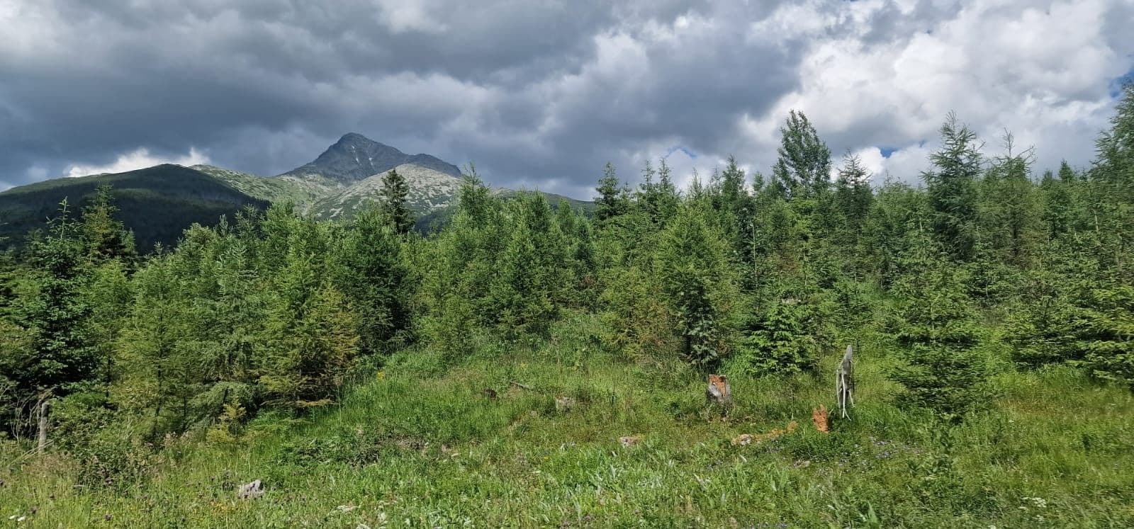 Predaj pozemku 700 m², Jamník, Žilinský kraj Predaj pozemku 700 m², Jamník, Žilinský kraj