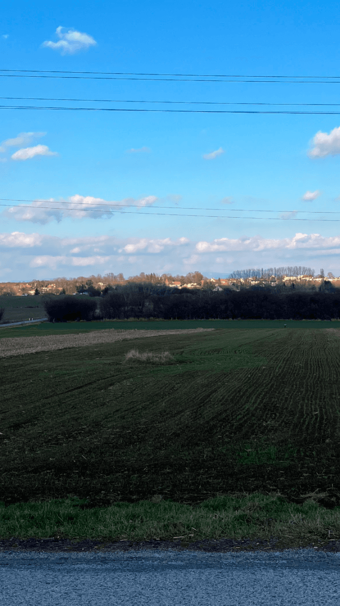 Predaj pozemku 4.618 m², Krtovce, Nitriansky kraj Predaj pozemku 4.618 m², Krtovce, Nitriansky kraj