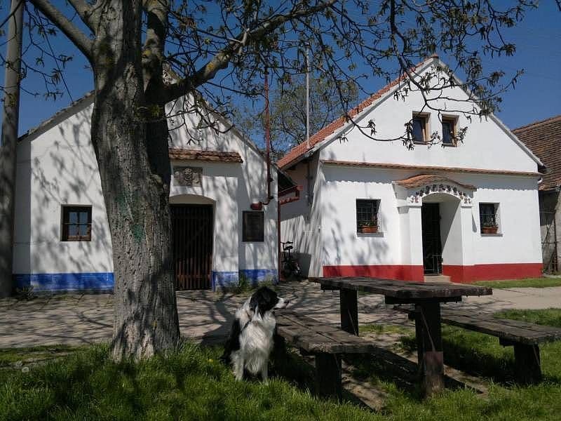Prenájom rekreačného objektu, Dolní Bojanovice, Jihomoravský kraj Prenájom rekreačného objektu, Dolní Bojanovice, Jihomoravský kraj