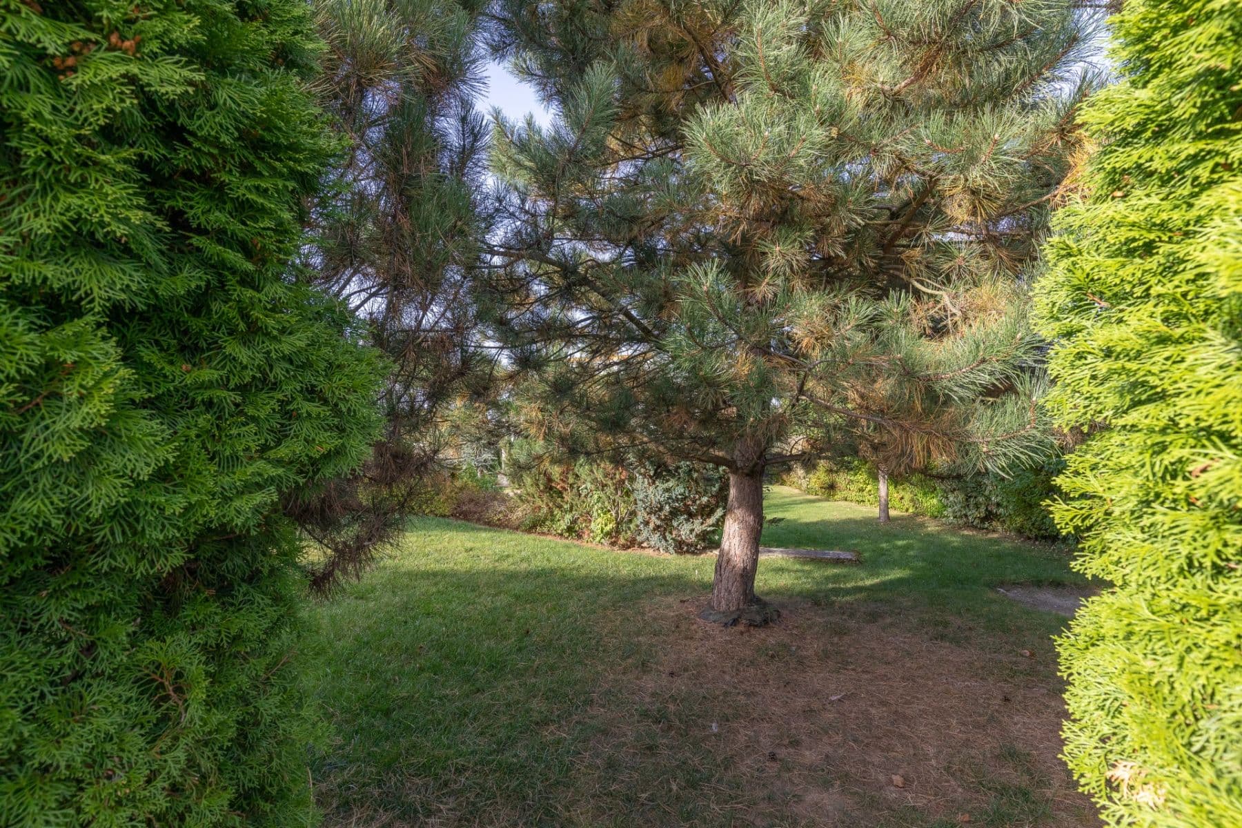 Predaj pozemku 802 m², Na Vrškách, Zlatníky-Hodkovice, Středočeský kraj Predaj pozemku 802 m², Na Vrškách, Zlatníky-Hodkovice, Středočeský kraj