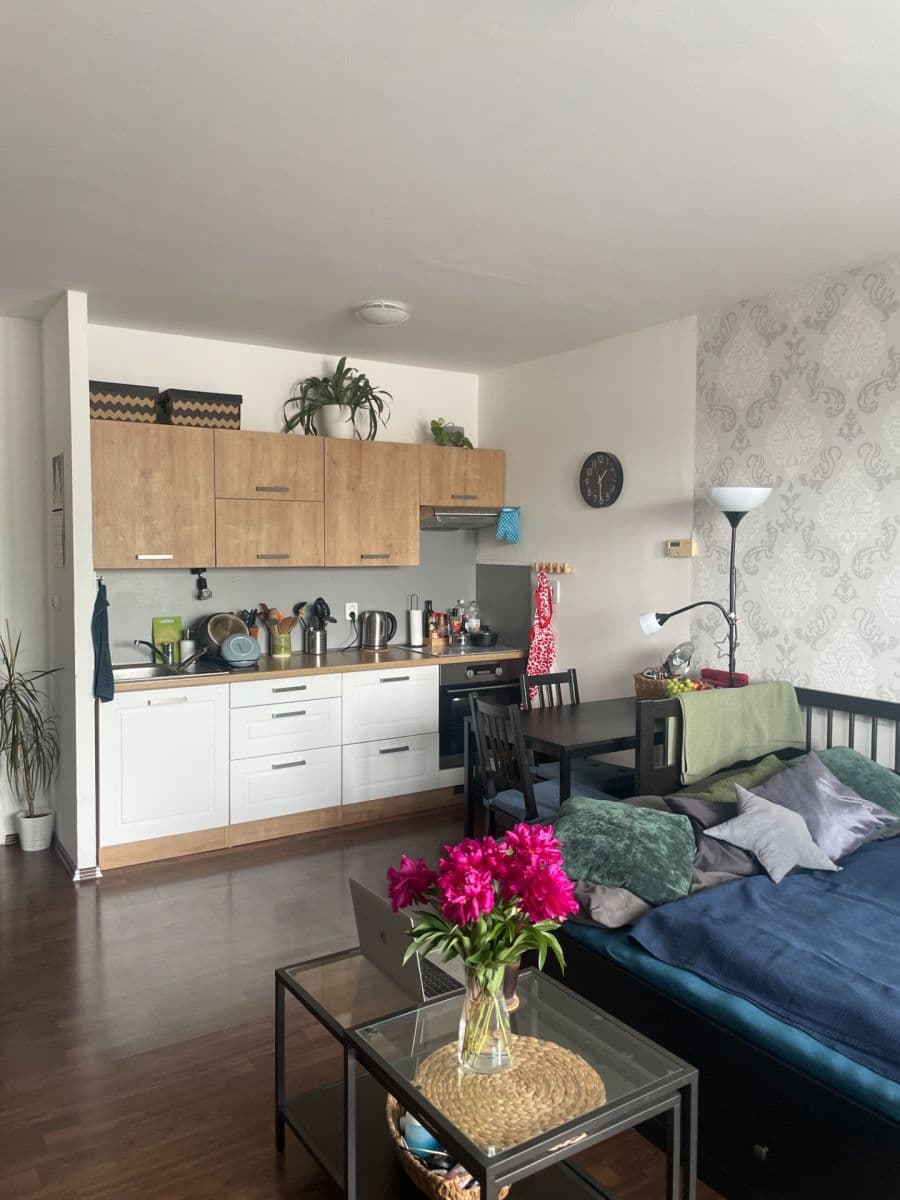 Prenájom bytu 1-izbový 40 m², Podpěrova, Brno, Jihomoravský kraj Prenájom bytu 1-izbový 40 m², Podpěrova, Brno, Jihomoravský kraj