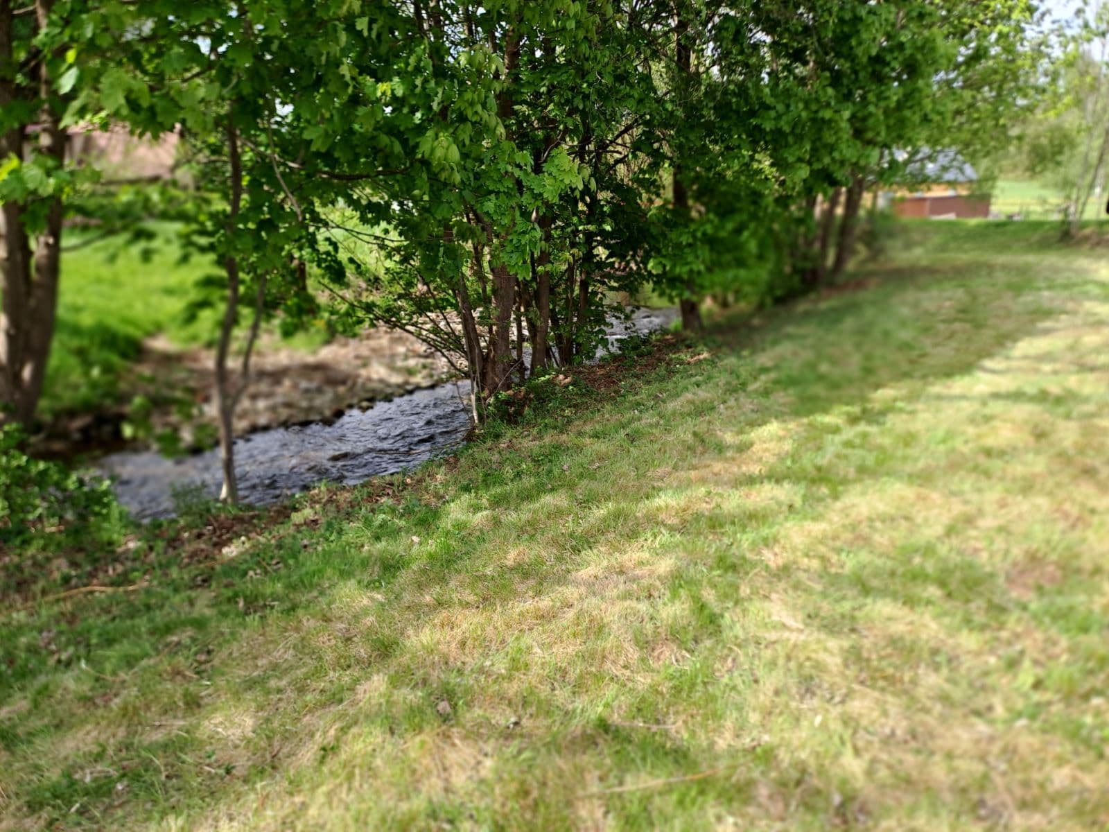Predaj pozemku 1.097 m², Prosečné, Královéhradecký kraj Predaj pozemku 1.097 m², Prosečné, Královéhradecký kraj