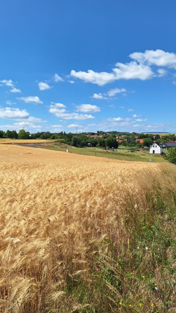 Prenájom pozemku 1.187 m², Líšťany, Ústecký kraj Prenájom pozemku 1.187 m², Líšťany, Ústecký kraj