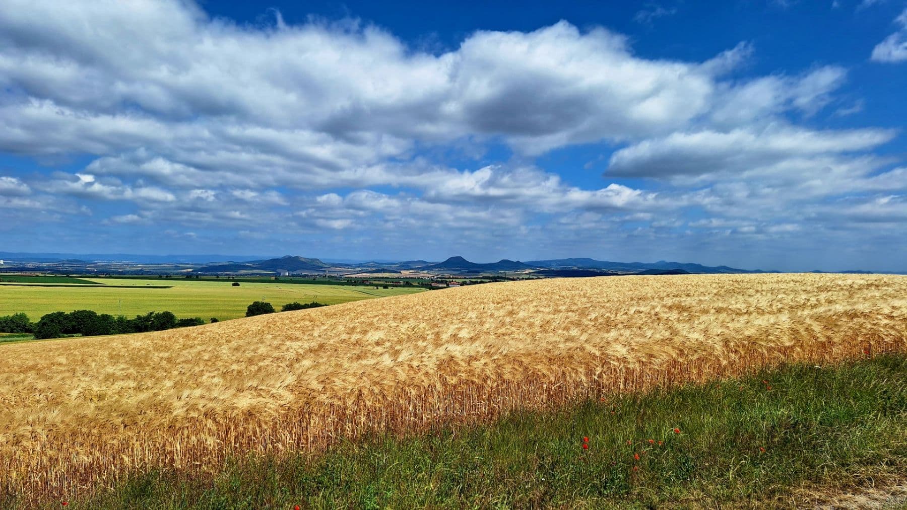 Prenájom pozemku 1.187 m², Líšťany, Ústecký kraj Prenájom pozemku 1.187 m², Líšťany, Ústecký kraj