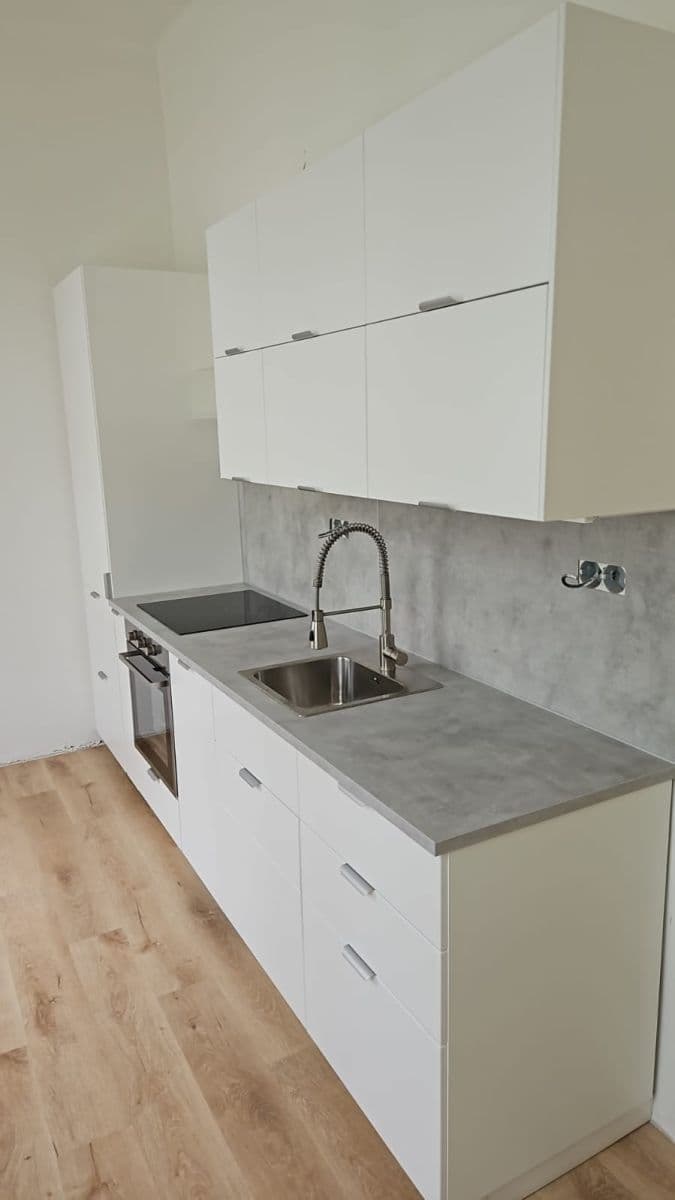 Prenájom bytu 1-izbový 59 m², Americká, Praha, Praha Prenájom bytu 1-izbový 59 m², Americká, Praha, Praha