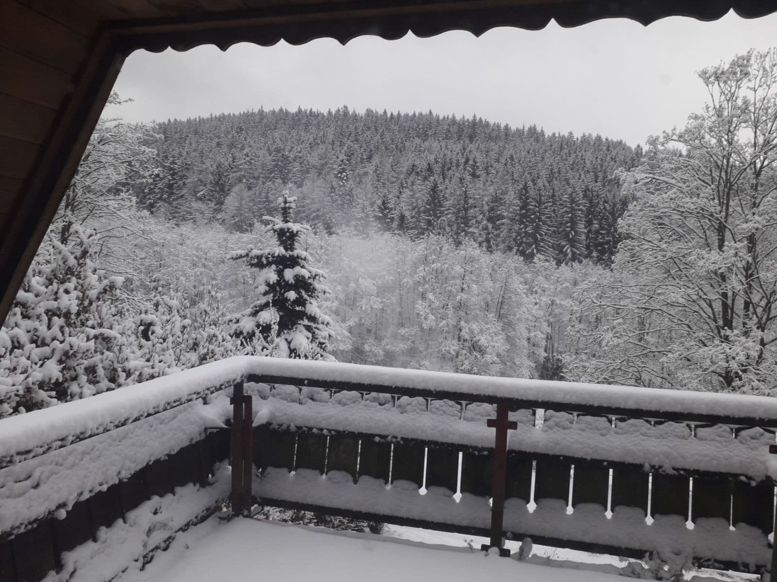 Predaj pozemku 496 m², Černý Důl, Královéhradecký kraj Predaj pozemku 496 m², Černý Důl, Královéhradecký kraj