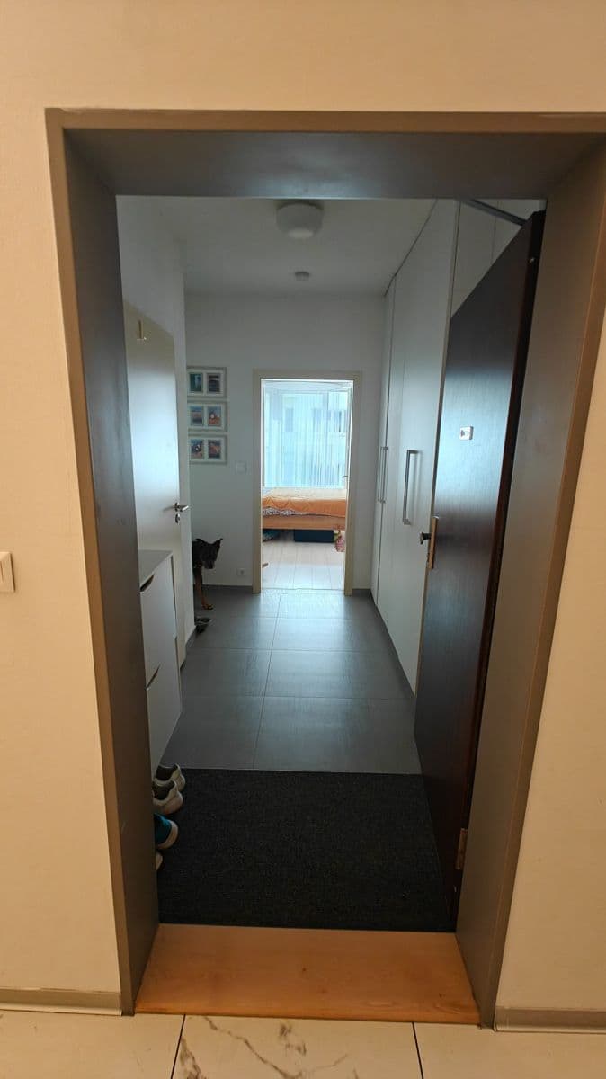 Prenájom bytu 2-izbový 46 m², Milady Horákové, Brno, Jihomoravský kraj Prenájom bytu 2-izbový 46 m², Milady Horákové, Brno, Jihomoravský kraj