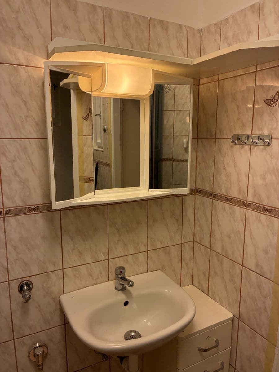Prenájom bytu 1-izbový 25 m², U Jezerky, Praha, Praha Prenájom bytu 1-izbový 25 m², U Jezerky, Praha, Praha