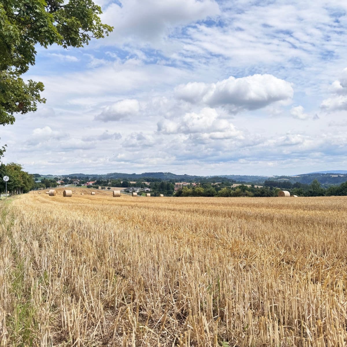 Predaj pozemku 939 m², Bohdaneč, Středočeský kraj Predaj pozemku 939 m², Bohdaneč, Středočeský kraj