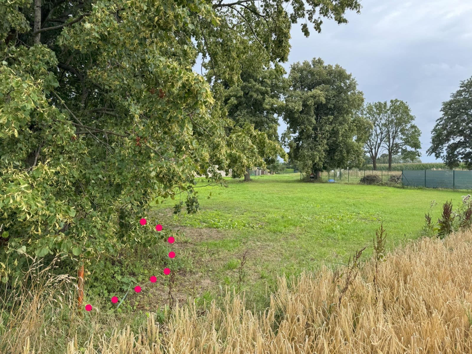 Predaj pozemku 939 m², Bohdaneč, Středočeský kraj Predaj pozemku 939 m², Bohdaneč, Středočeský kraj