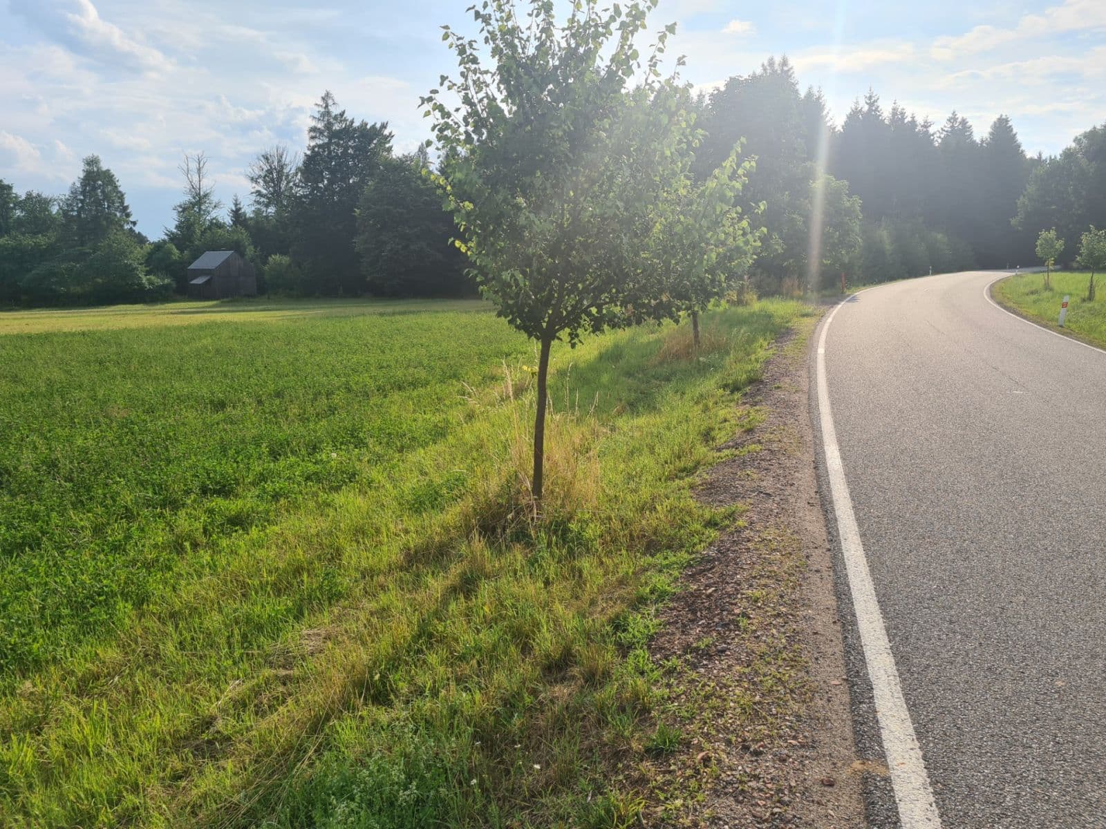 Predaj pozemku 1.488 m², Lično, Královéhradecký kraj Predaj pozemku 1.488 m², Lično, Královéhradecký kraj