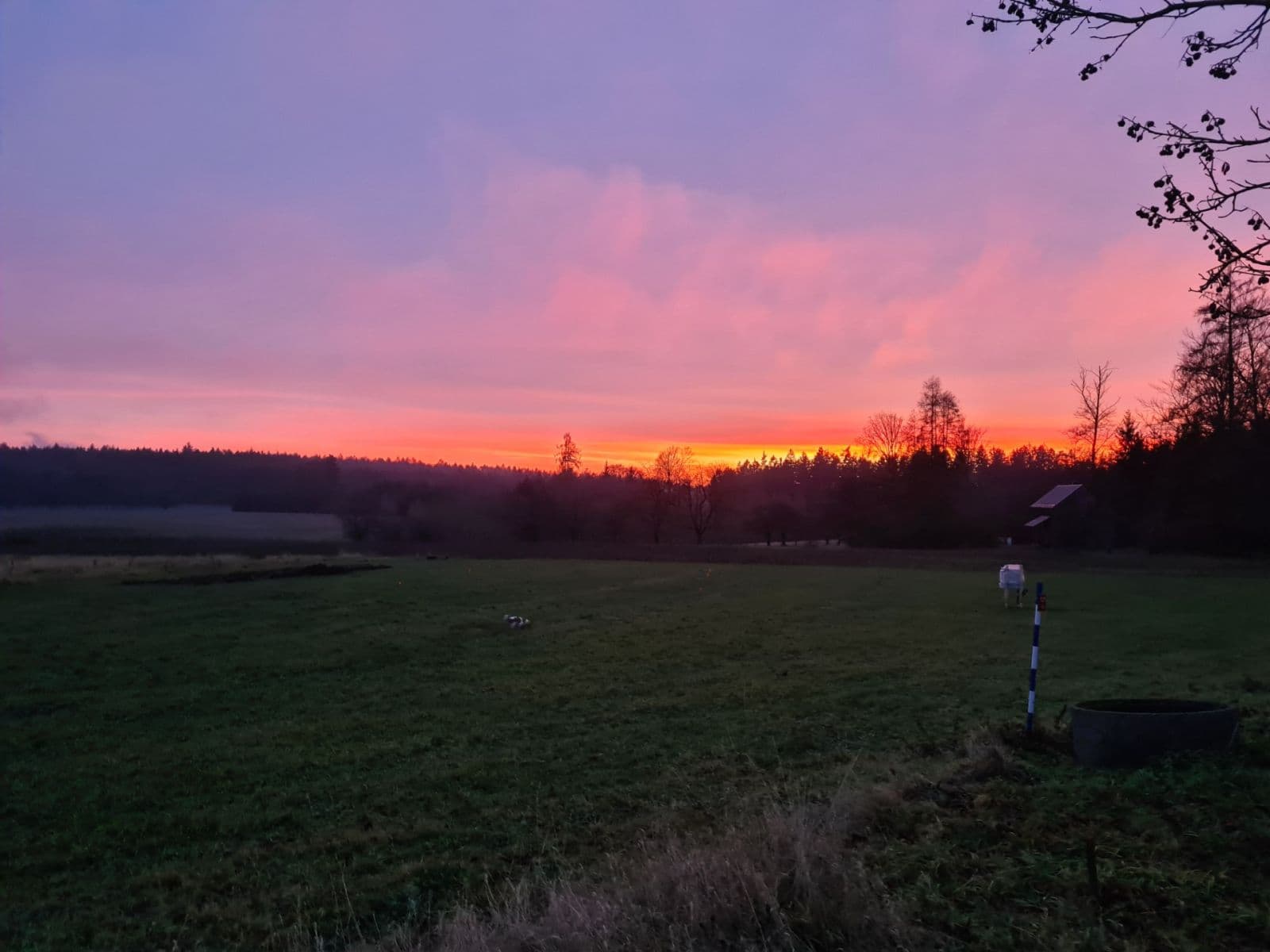 Predaj pozemku 1.488 m², Lično, Královéhradecký kraj Predaj pozemku 1.488 m², Lično, Královéhradecký kraj