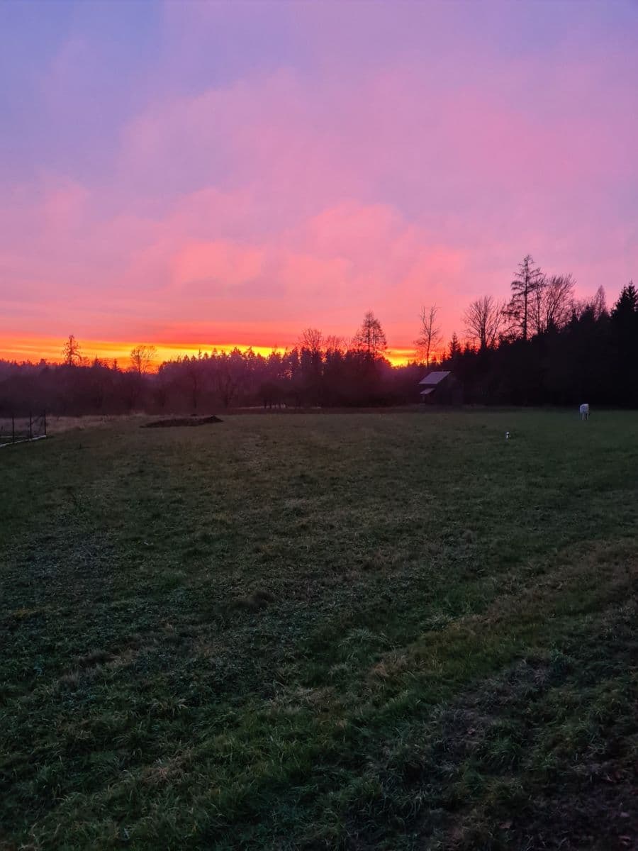 Predaj pozemku 1.488 m², Lično, Královéhradecký kraj Predaj pozemku 1.488 m², Lično, Královéhradecký kraj