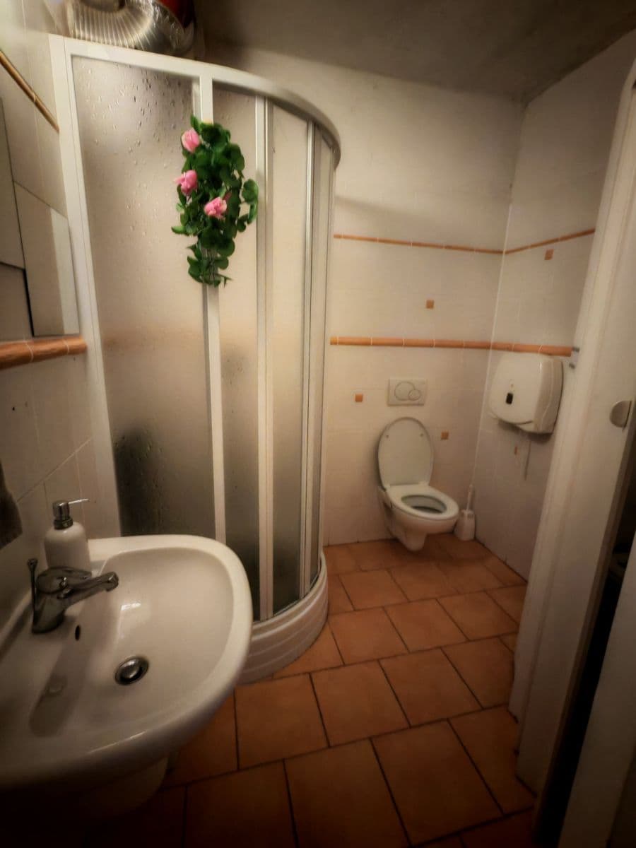 Predaj domu 189 m², pozemek 293 m², Musilova, Jihlava, Kraj Vysočina Predaj domu 189 m², pozemek 293 m², Musilova, Jihlava, Kraj Vysočina