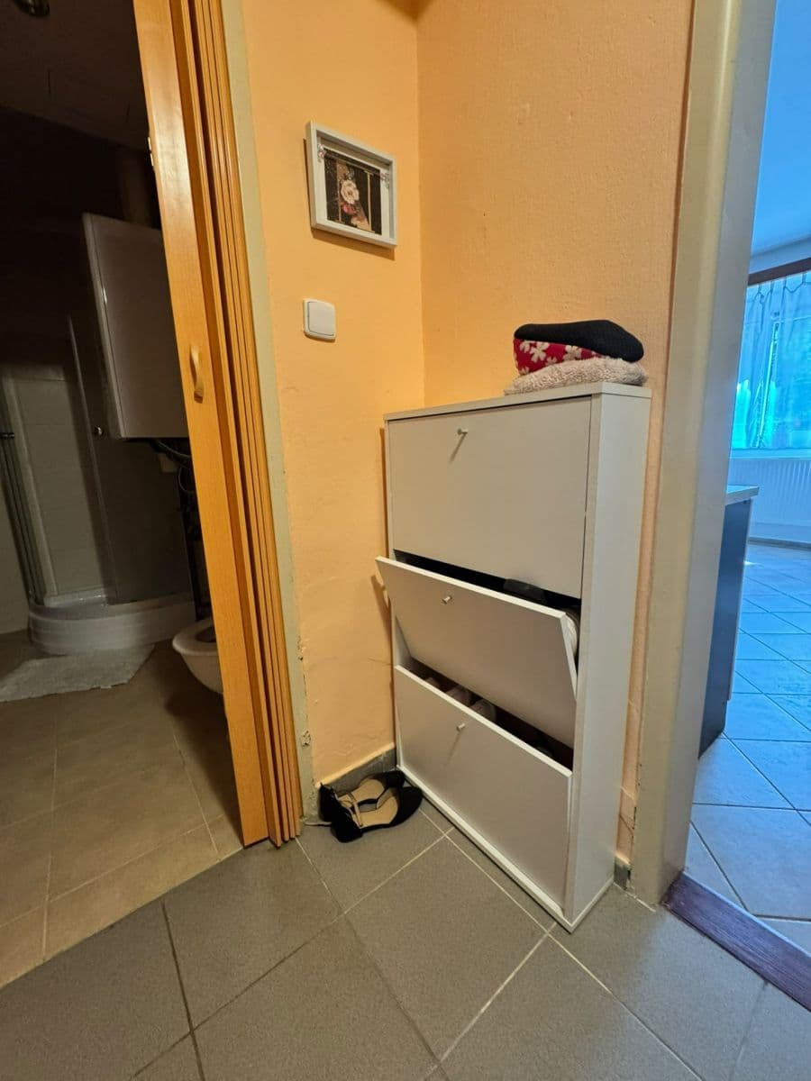 Prenájom bytu 1-izbový 30 m², Kounická, Praha, Praha Prenájom bytu 1-izbový 30 m², Kounická, Praha, Praha