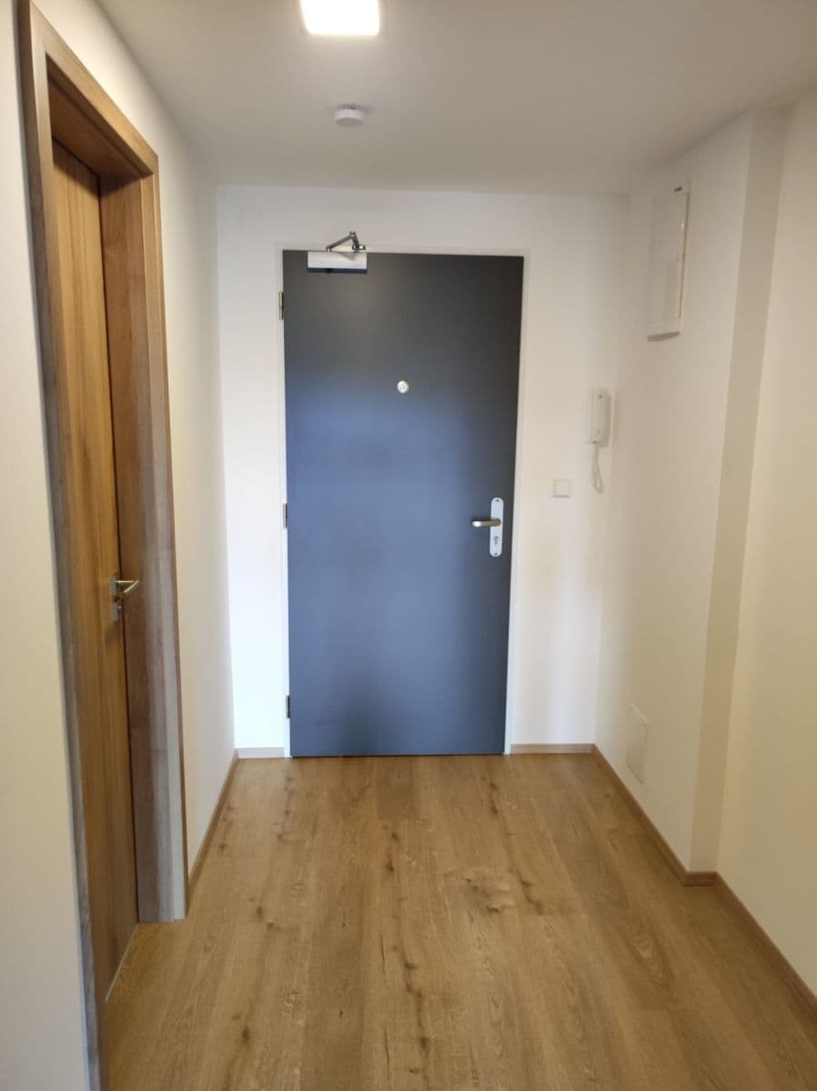 Prenájom bytu 1-izbový 35 m², třída Generála Píky, Brno, Jihomoravský kraj Prenájom bytu 1-izbový 35 m², třída Generála Píky, Brno, Jihomoravský kraj